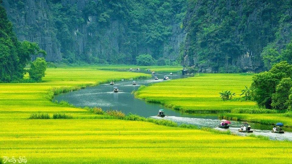 Tuyet'S Homestay Ninh Binh Exterior photo