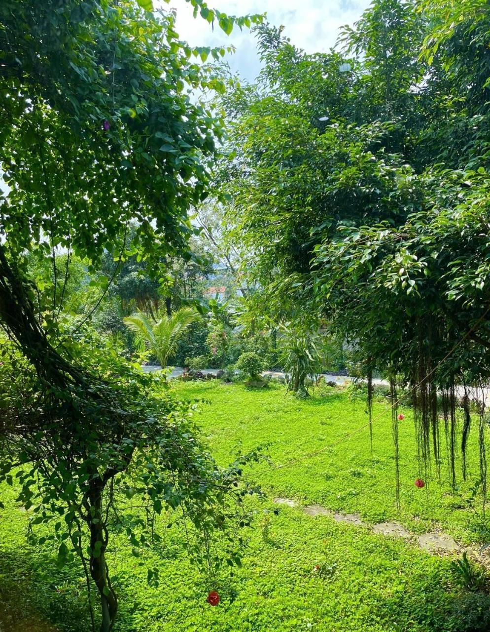 Tuyet'S Homestay Ninh Binh Exterior photo