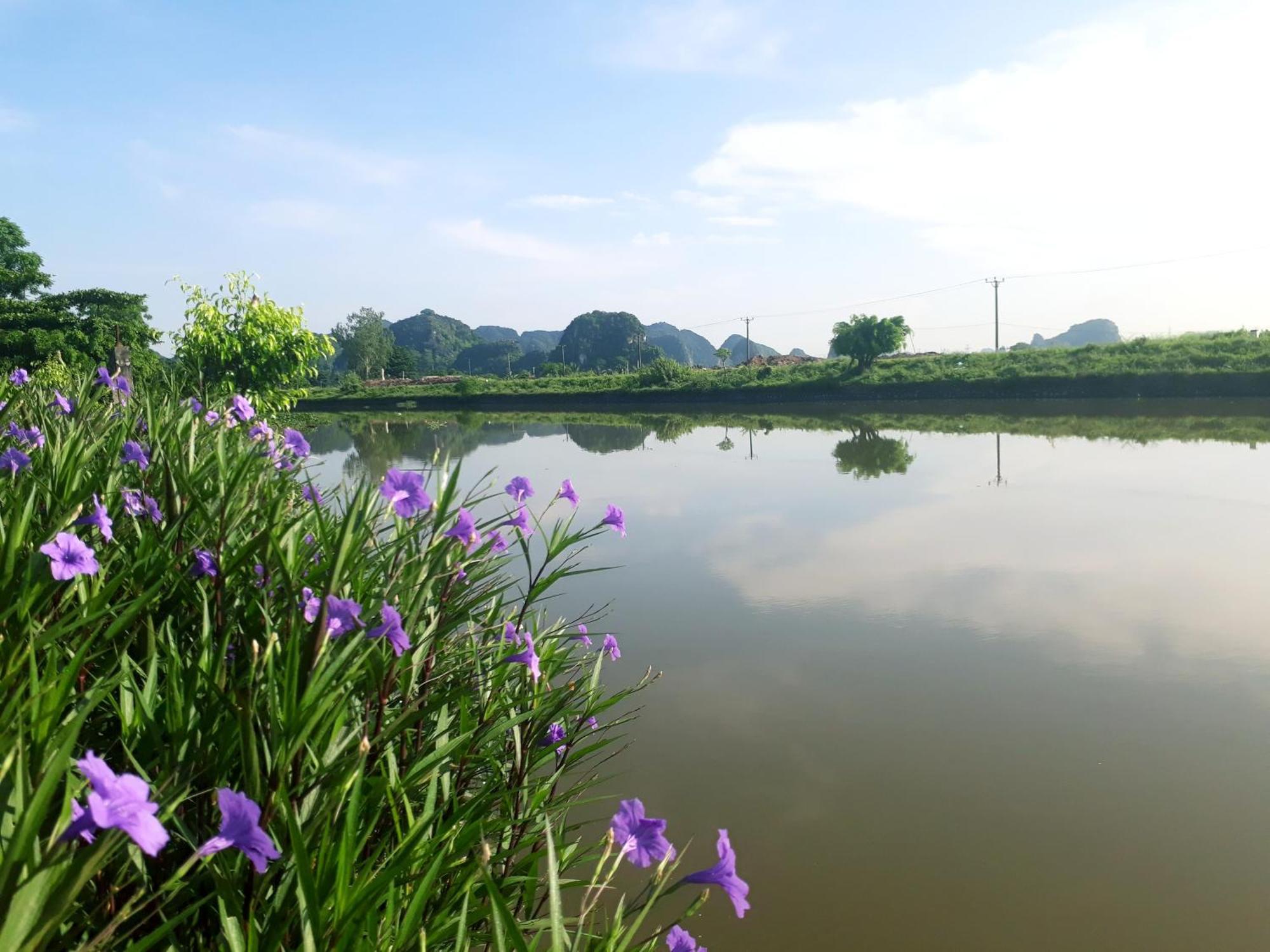 Tuyet'S Homestay Ninh Binh Room photo